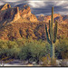 Arizona