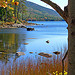 Maine