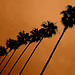California
