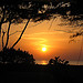 Cherai Beach