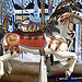 Maryland State Fair
