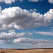 Arizona