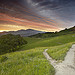 California