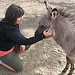 Delightful Donkeys at the Hills Health Ranch