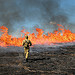Kentucky Prescribed Fire 177