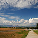 Colorado Sky