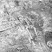 1930's Archaeological Excavation of the Mississippian Burial Mound At Tolu, Kentucky