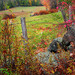 Pastoral New Hampshire autumn scene