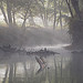 Kentucky River