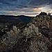 Peace Amid the Storm - New Mexico