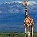 Adventure Tourism in Tanzania, Selous Game Reserve Safaris from Lasi Tours & Safaris