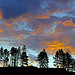 Wyoming sunrise