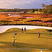 Glen dornoch, North Myrtle Beach #16