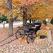 New Hampshire Fall Foliage